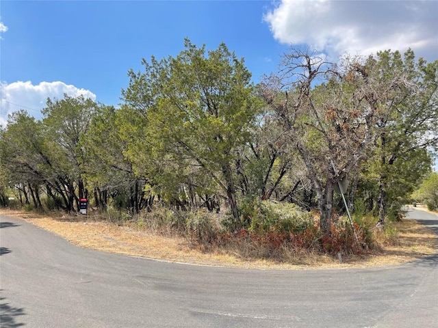 25406 Pedernales Point Dr, Spicewood, TX 78669 - photo 2