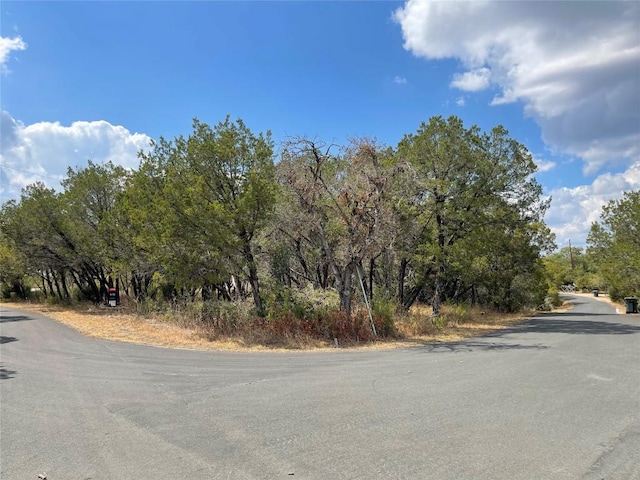 25406 Pedernales Point Dr, Spicewood, TX 78669 - photo 4