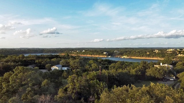 25406 Pedernales Point Dr, Spicewood, TX 78669 - photo 3