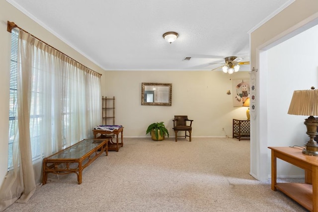 5706 Cherry Creek Dr, Austin, TX 78745 - photo 4