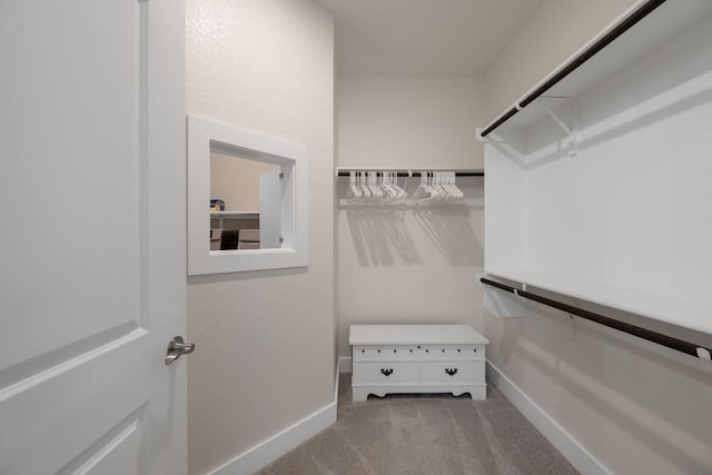 103 Winterhorse Cv, Georgetown, TX 78633 - photo 17