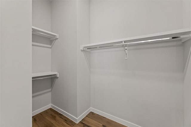 4510 Terry-O Ln Unit 402, Austin, TX 78745 - photo 10