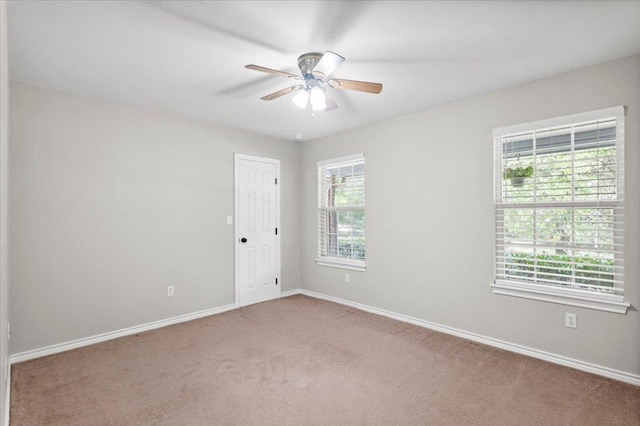 596 Herron Trl, Mcdade, TX 78650 - photo 26