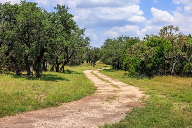 456 Colt Valley Rd, Fredericksburg, TX 78624 - photo 5