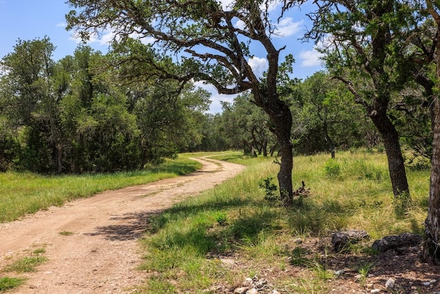 456 Colt Valley Rd, Fredericksburg, TX 78624 - photo 6