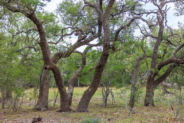 456 Colt Valley Rd, Fredericksburg, TX 78624 - photo 37