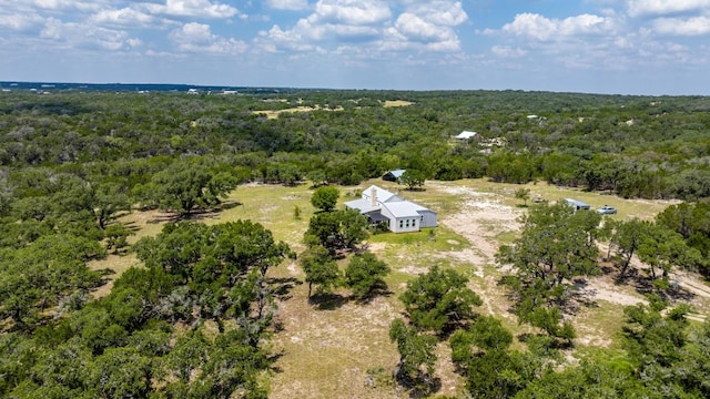 456 Colt Valley Rd, Fredericksburg, TX 78624 - photo 38