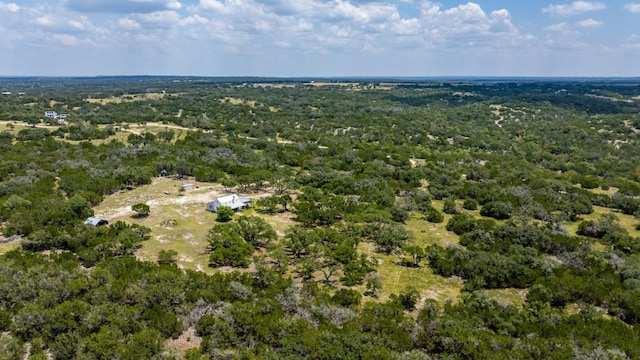 456 Colt Valley Rd, Fredericksburg, TX 78624 - photo 39