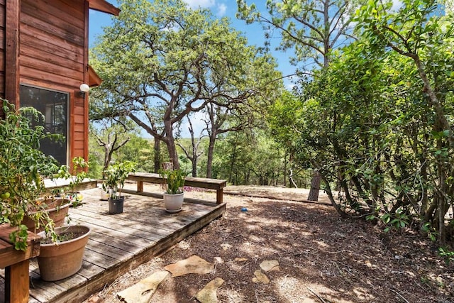 214 Laura Ln, Bastrop, TX 78602 - photo 28