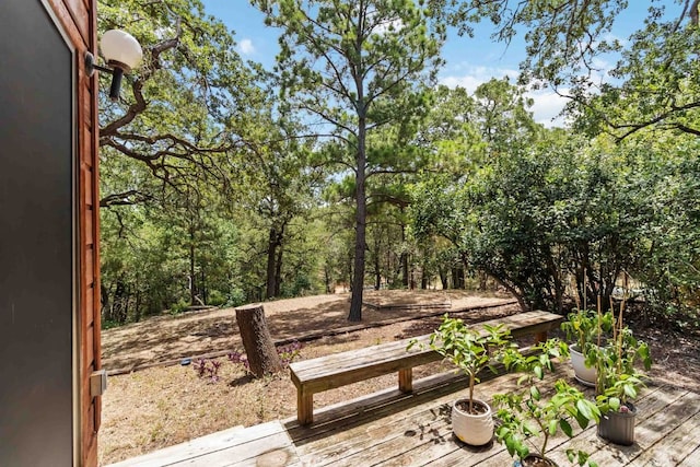 214 Laura Ln, Bastrop, TX 78602 - photo 29