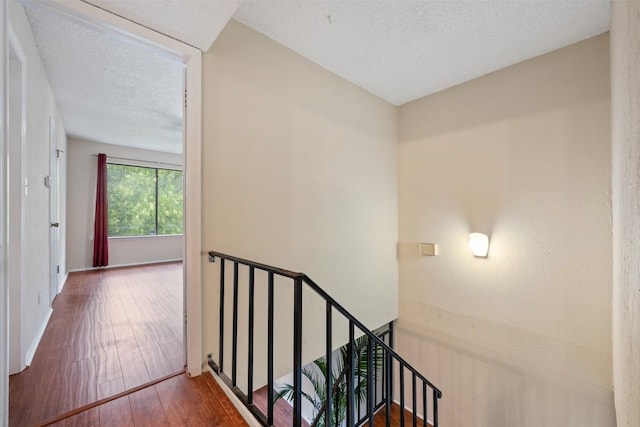 904 Silver Quail Ln, Austin, TX 78758 - photo 16
