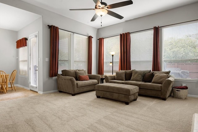 3409 Aquamarine Dr, Round Rock, TX 78681 - photo 11