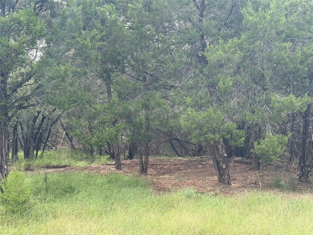21501 Paseo De Vaca St, Leander, TX 78645 - photo 6
