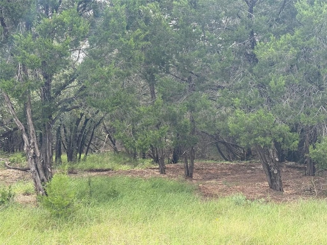 21501 Paseo De Vaca St, Leander, TX 78645 - photo 7