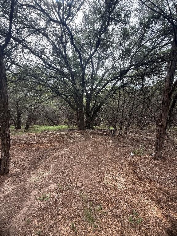 21501 Paseo De Vaca St, Leander, TX 78645 - photo 9