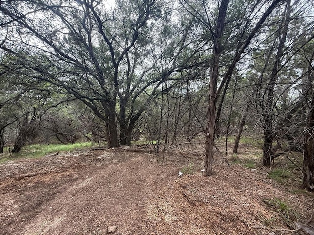 21501 Paseo De Vaca St, Leander, TX 78645 - photo 10