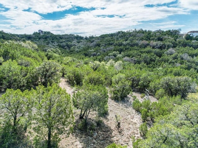 3350 Far View Dr, Austin, TX 78730 - photo 14