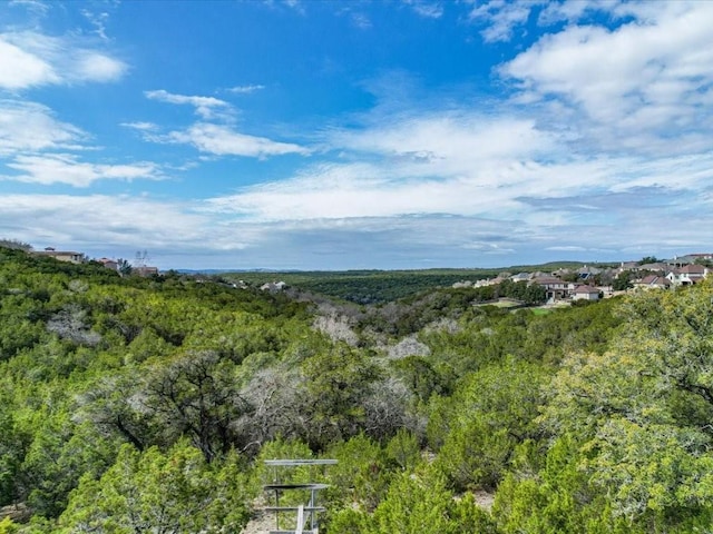 3350 Far View Dr, Austin, TX 78730 - photo 17