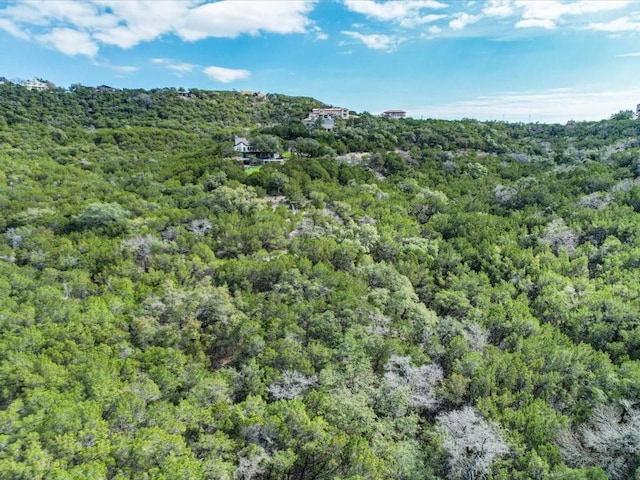 3350 Far View Dr, Austin, TX 78730 - photo 18