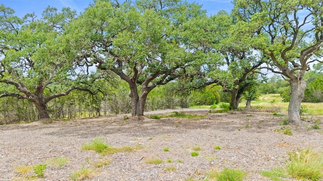 000 Oak Valley Rnch, Dripping Springs, TX 78676 - photo 4