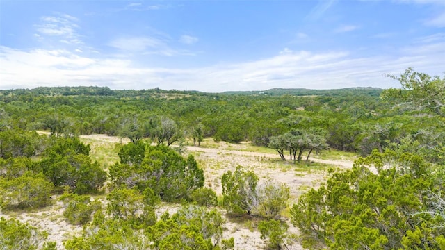 000 Oak Valley Rnch, Dripping Springs, TX 78676 - photo 5