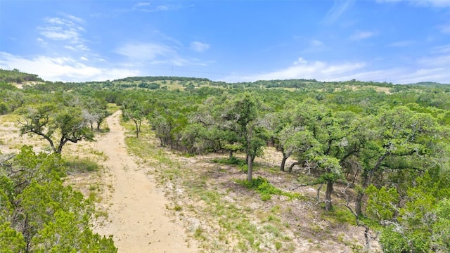 000 Oak Valley Rnch, Dripping Springs, TX 78676 - photo 6