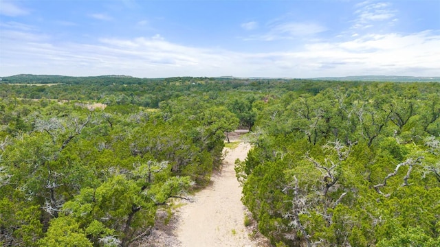 000 Oak Valley Rnch, Dripping Springs, TX 78676 - photo 7