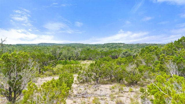 000 Oak Valley Rnch, Dripping Springs, TX 78676 - photo 11