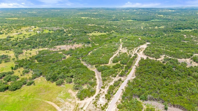 000 Oak Valley Rnch, Dripping Springs, TX 78676 - photo 15
