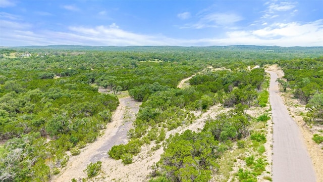 000 Oak Valley Rnch, Dripping Springs, TX 78676 - photo 16