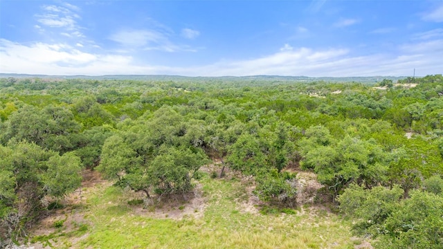 000 Oak Valley Rnch, Dripping Springs, TX 78676 - photo 17