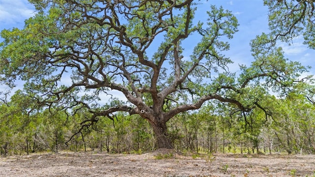 000 Oak Valley Rnch, Dripping Springs, TX 78676 - photo 1