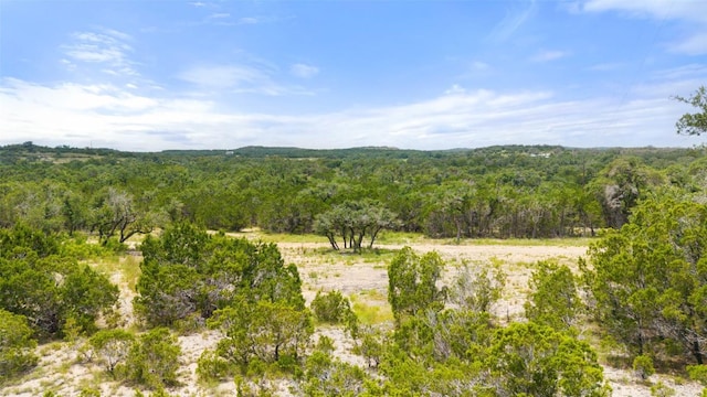 000 Oak Valley Rnch, Dripping Springs, TX 78676 - photo 2
