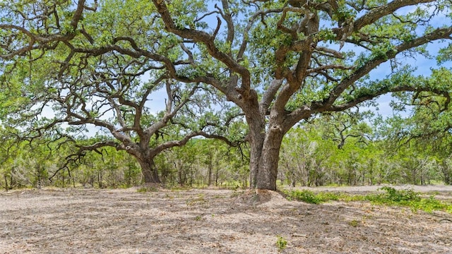 000 Oak Valley Rnch, Dripping Springs, TX 78676 - photo 3