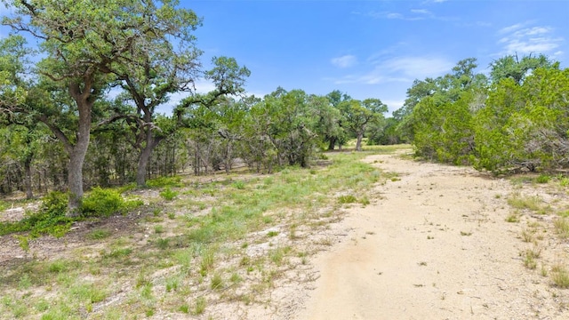 000 Oak Valley Rnch, Dripping Springs, TX 78676 - photo 21