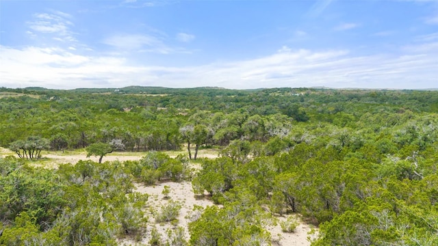 000 Oak Valley Rnch, Dripping Springs, TX 78676 - photo 24