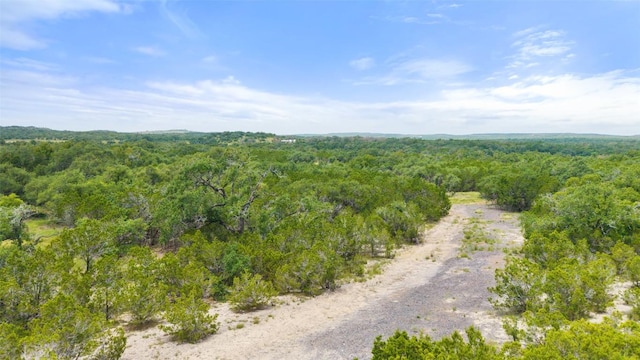 000 Oak Valley Rnch, Dripping Springs, TX 78676 - photo 27