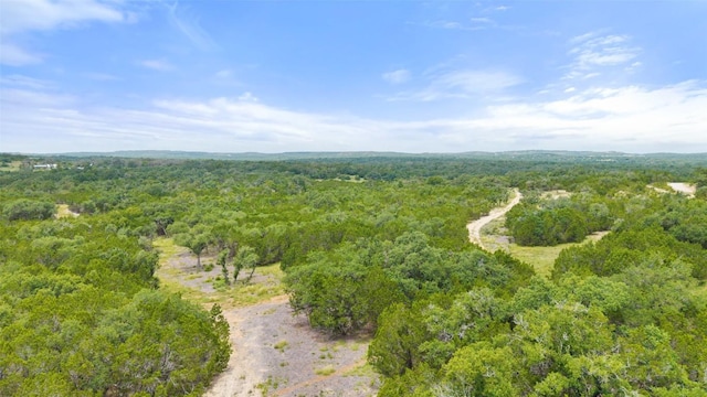 000 Oak Valley Rnch, Dripping Springs, TX 78676 - photo 28