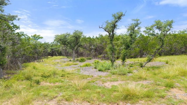 000 Oak Valley Rnch, Dripping Springs, TX 78676 - photo 31