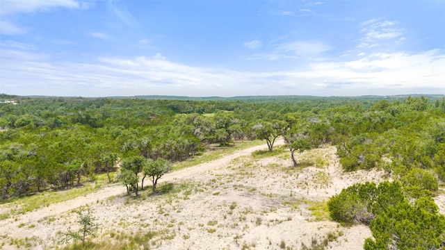 000 Oak Valley Rnch, Dripping Springs, TX 78676 - photo 34