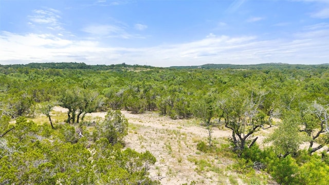 000 Oak Valley Rnch, Dripping Springs, TX 78676 - photo 35