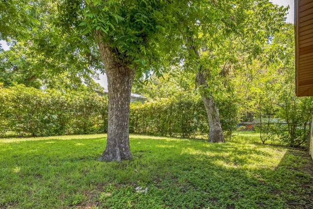 3206 Goodwin Ave, Austin, TX 78702 - photo 23