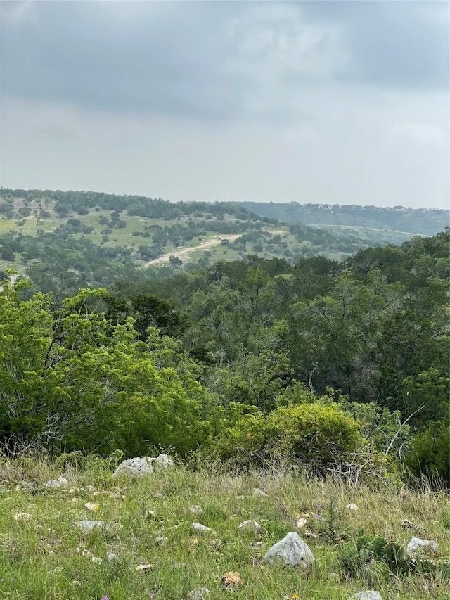 TBD W Starview Cv, Blanco, TX 78606 - photo 1