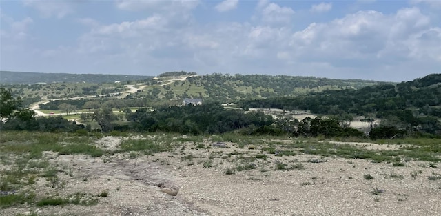 TBD W Starview Cv, Blanco, TX 78606 - photo 6