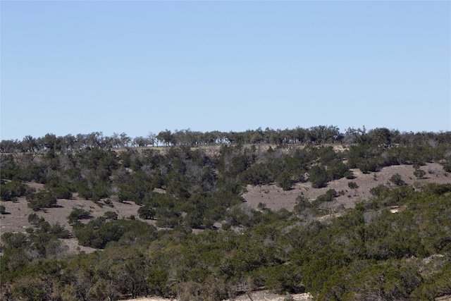 TBD W Starview Cv, Blanco, TX 78606 - photo 11