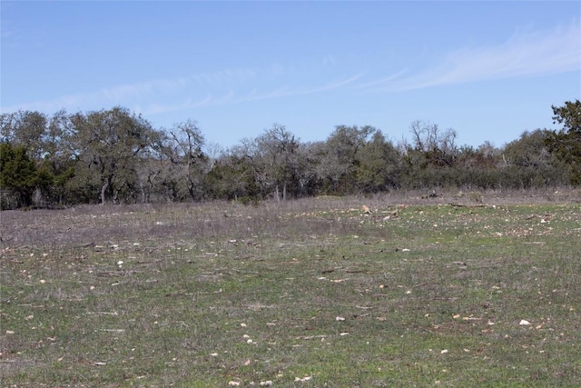 TBD W Starview Cv, Blanco, TX 78606 - photo 12