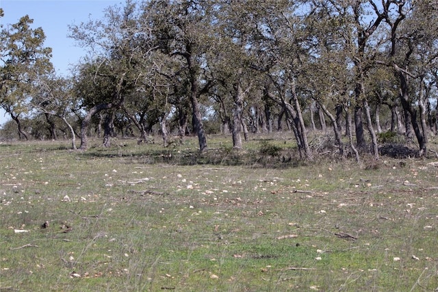 TBD W Starview Cv, Blanco, TX 78606 - photo 13