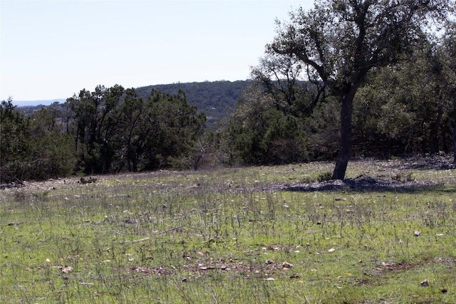 TBD W Starview Cv, Blanco, TX 78606 - photo 14