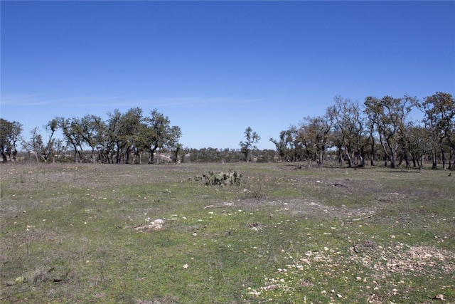 TBD W Starview Cv, Blanco, TX 78606 - photo 15