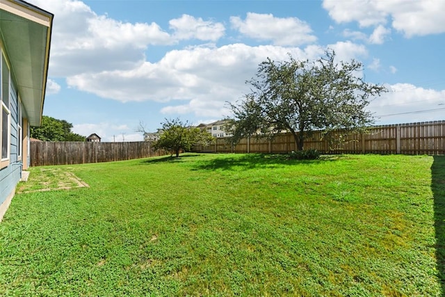 203 Teron Dr, San Marcos, TX 78666 - photo 32
